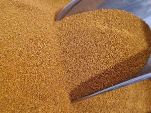 خاکشیر درجه یک 5  کیلویی سورت شده بدون چوب با تضمین کیفیت  (نمونه بار عمده فروشی)