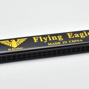 سازدهنی دیاتونیک مدل Flying Eagle 1