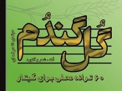 دانلود فایل صوتی کتاب گل گندم