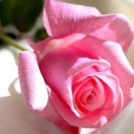 ۴۰ درس برای قدرت يافتن در سختی‌های زندگی (مطلب)