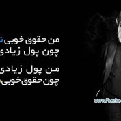 بر شانه بزرگان: روبرت بوش (مطلب)