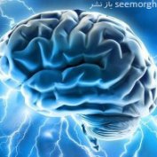چگونه مراقب حافظه مان باشیم؟