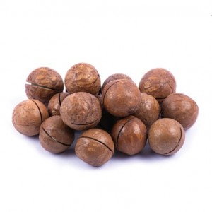 ماکادمیا (فندق استرالیایی)