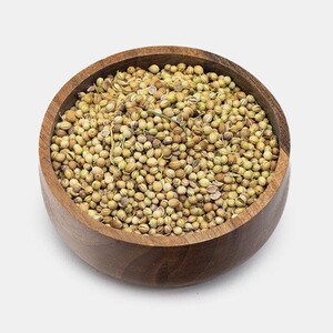 تخم گشنیز