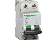 کلید مینیاتوری (mcb) دو پل / دو فاز 50 آمپر Schneider electric