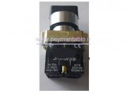 شاسی-پوش-باتن-فرمان-دو-طرفه-مدل-(xb2-bd33).jpg