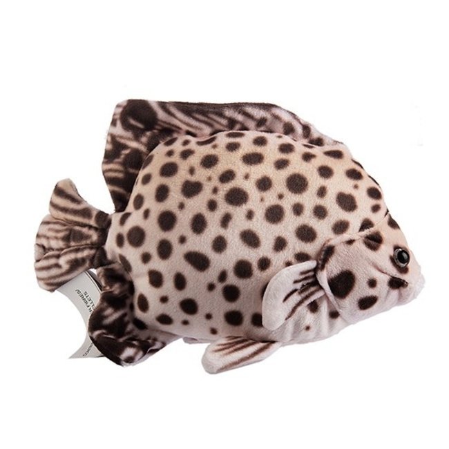 عروسک ماهی پولیشی  للی مدل Colorful سایز متوسط