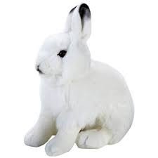 عروسک پولیشی خرگوش lellyکد770725