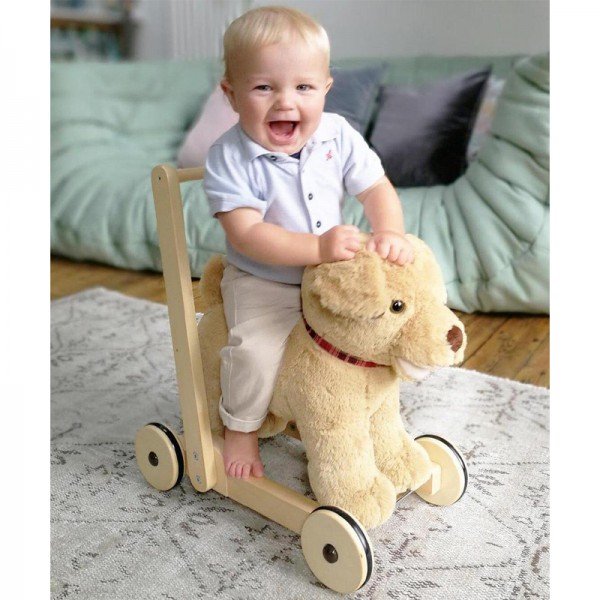 واکر خرس چوبی  reversible dog coat little bird 3052