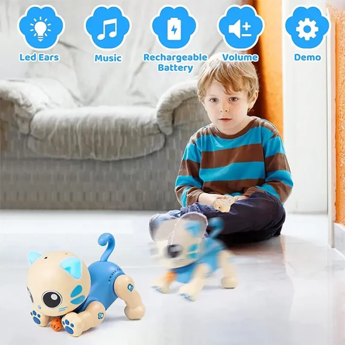 اسباب بازی ربات گربه کنترلی رنگ آبی کد P/K31A/B