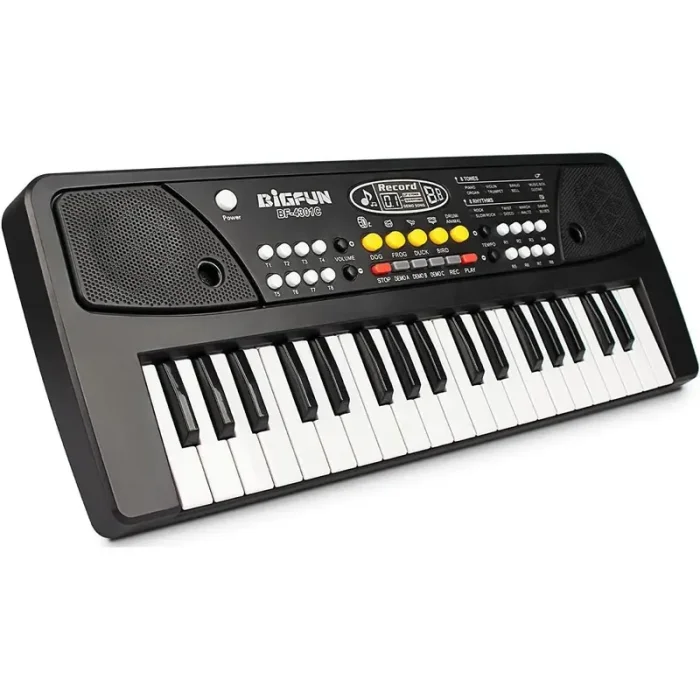 اسباب بازی ارگ بیگ فان مشکی کد BF430A2