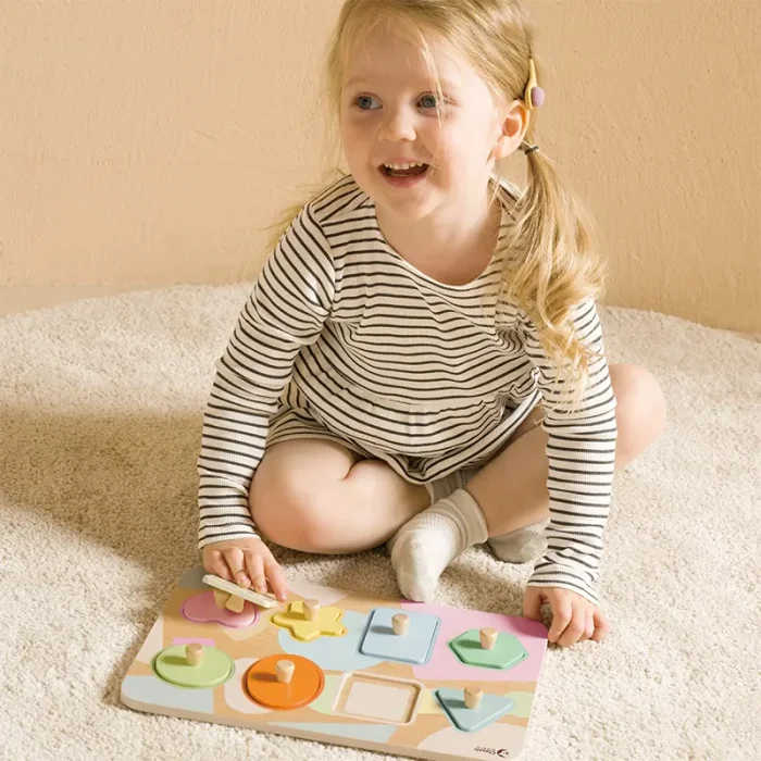 پازل چوبی هندسه کلاسیک ورلد Classic World Geometry Puzzle کد 40063