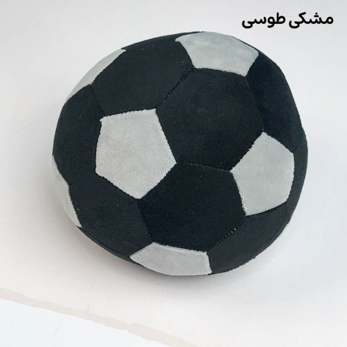 توپ پولیشی رنگ مشکی کد 57075