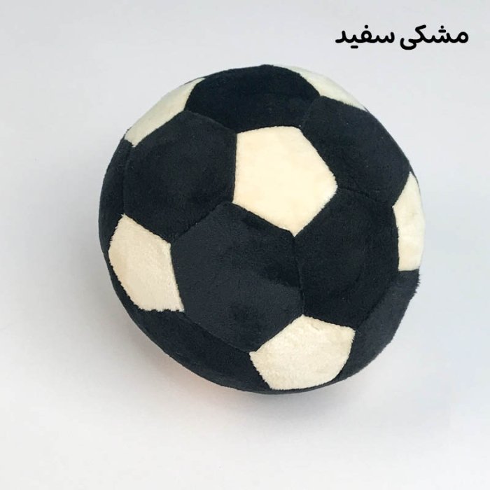 توپ پولیشی رنگ مشکی کد 57075