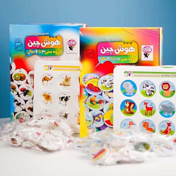 بازی آموزشی هوش چین 1 تکه کد 30017