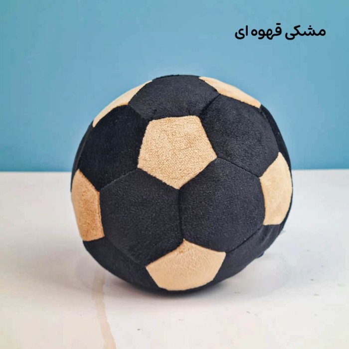توپ پولیشی رنگ مشکی کد 57075