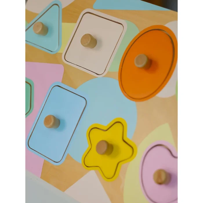 پازل چوبی هندسه کلاسیک ورلد Classic World Geometry Puzzle کد 40063