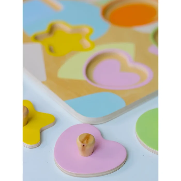 پازل چوبی هندسه کلاسیک ورلد Classic World Geometry Puzzle کد 40063