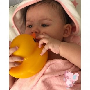 اسباب بازی حمام نوزاد پوپت اردک tolo مدل 89217