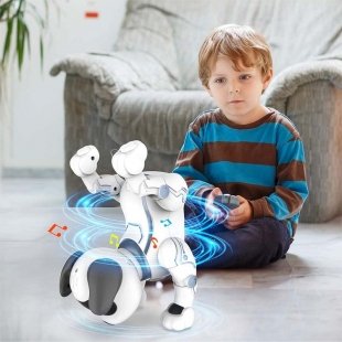 قیمت و خرید اسباب بازی ربات