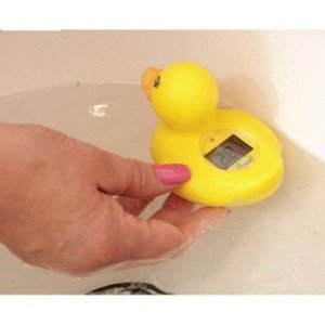 دماسنج دیجیتال اردک 20430 rotho