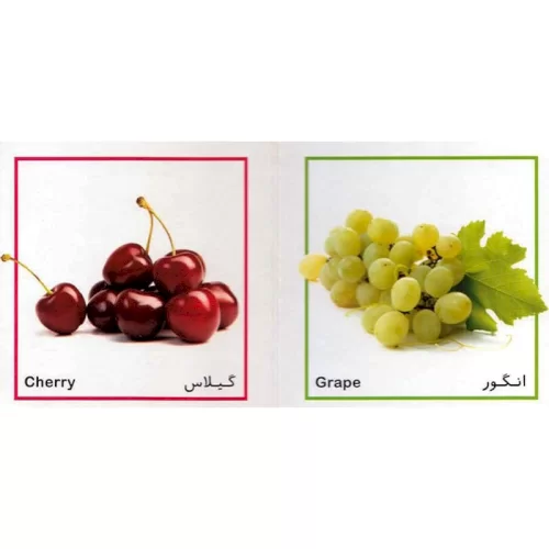کتاب به به چه میوه هایی،فرهنگ تصویری این چیه؟ اون چیه؟ کد 4277186
