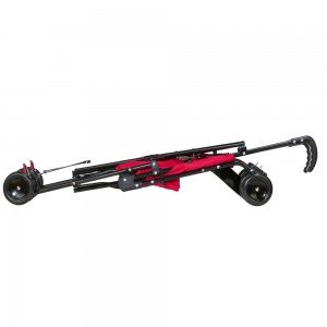کالسکه Safety 1st Buggy with Canopy Peps canopy red 11828850