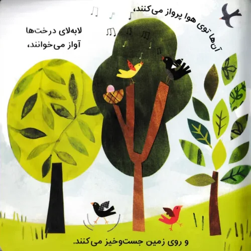 کتاب کودک سلام دنیا، پرنده ها  کد 744304