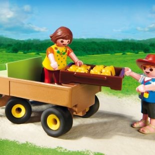 0009197_playmobil-country-children-s-pony-wagon-5228.jpeg