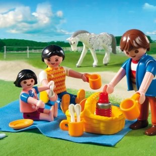 0009188_playmobil-country-horse-drawn-carriage-5226.jpeg