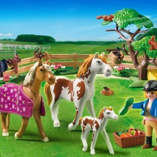 0009191_playmobil-country-paddock-with-horses-and-pony-5227.jpeg