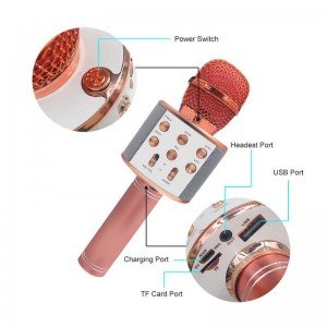 قیمت میکروفون اسپیکر دار مشکی مدل 858