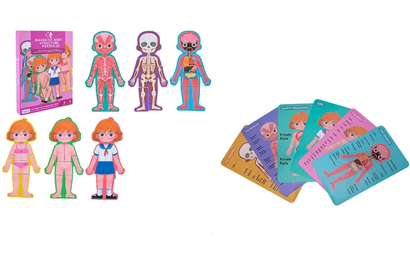 Human body anatomy magnetic puzzle for girls