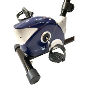دوچرخه ثابت پاندا مدل Panda R533