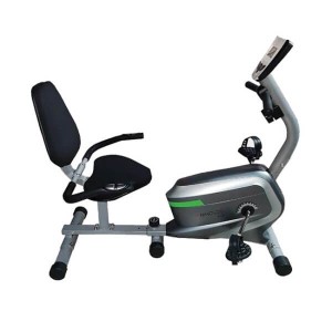 دوچرخه ثابت پشتی دار EMHfitness مدل 6300