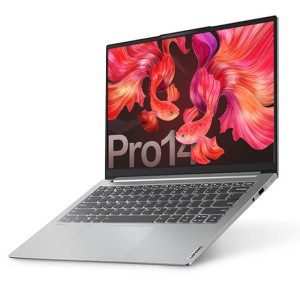 لپ تاپ لنوو پرو 14 مدل Lenovo Pro 14 AMD Ryzen R5 5600H 2.8K 90Hz