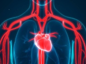 غلظت خون چیست؟ علل، علائم، روش تشخیص و درمان آن