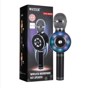 میکروفن ws-669 اصلی شرکت وستر (رزگلد)