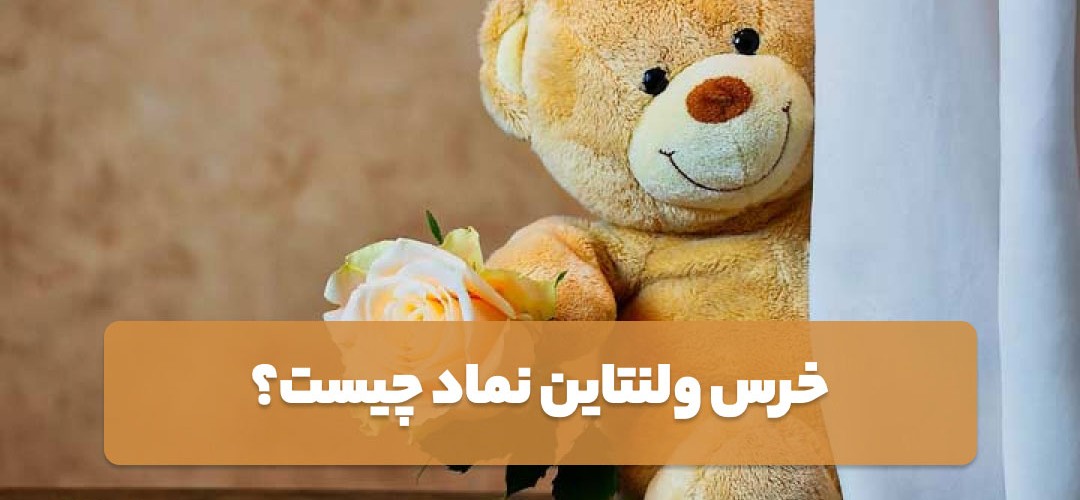 چرا روز ولنتاین خرس هدیه میدهند؟