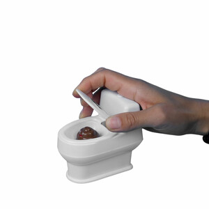 flush toilet (2)