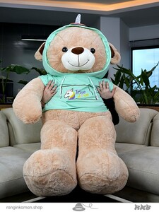 خرس هودی پوش Bear in a hoodie