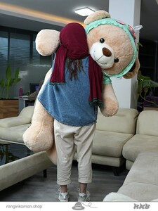 خرس هودی پوش Bear in a hoodie