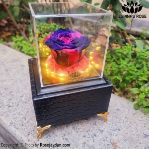 باکس موزیکال پایه چرم آبی صورتی با چراغ کد 937