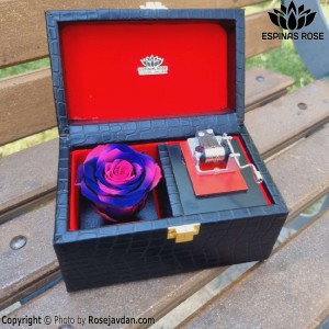 باکس موزیکال رز جاودان آبی صورتی صندوقچه ای کد 947