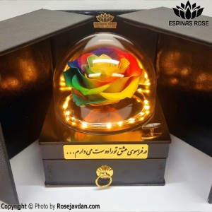 گل رز جاودان سوپرایزی هفت رنگ موزیکال با ریسه 910