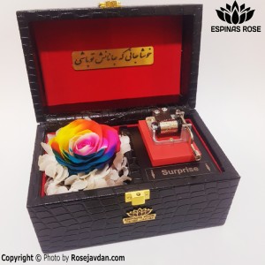 باکس موزیکال رز جاودان هفت رنگ ( رنگین کمانی )  صندوقچه ای کد 940