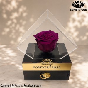 باکس مشکی گل رزجاودان کشودار بنفش کد 313