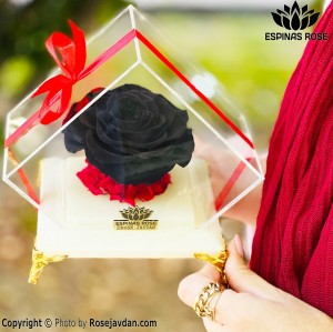 باکس سنگی گل رز جاودان مشکی کد 2450