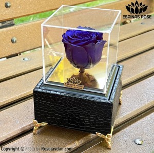 باکس موزیکال رز جاودان آبی کد 932