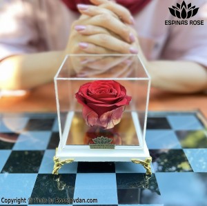اسپیناس رز جاودان گل رز قرمز کد 121